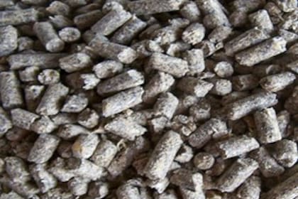 Los niveles de proteína bruta de la raicilla de cebada oscilan entre 22 a 24%, aunque hay algunas partidas que pueden llegar hasta el 30% de proteína