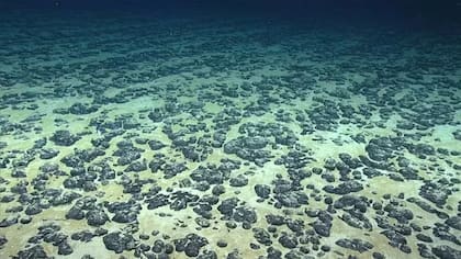 Los nódulos polimetálicos con capaces de generar oxígeno en las profundidades del mar