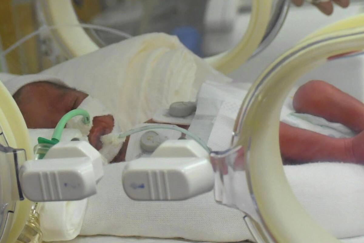 Los nueve bebés nacieron en Marruecos