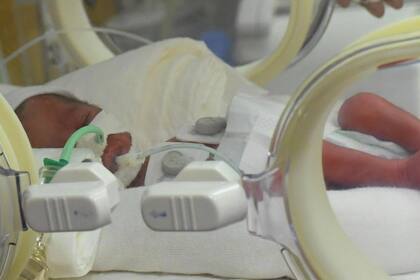 Los nueve bebés nacieron en Marruecos