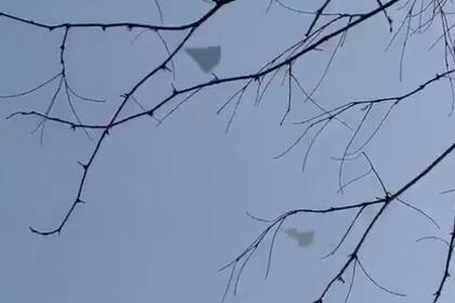 Los nuevos aviones furtivos exhibidos en los cielos de China