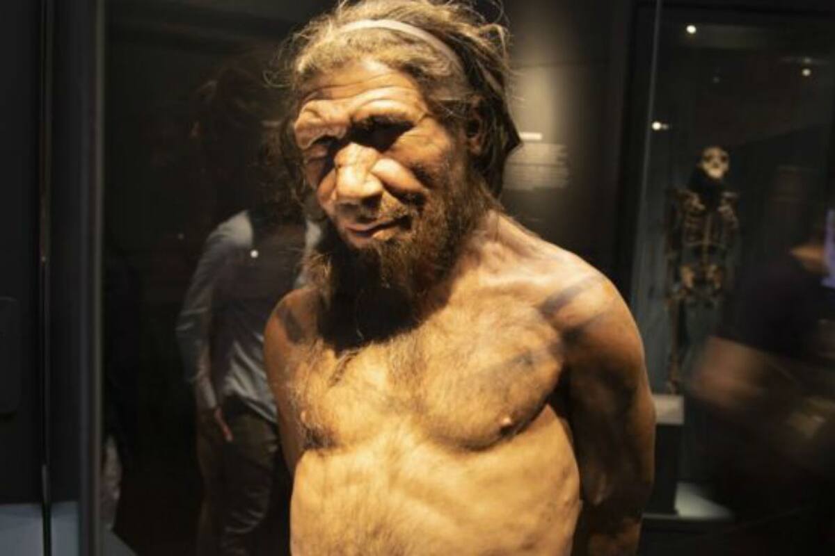 Los nuevos hallazgos sobre los neandertales arrojan una luz diferente sobre la vida de nuestros primos lejanos