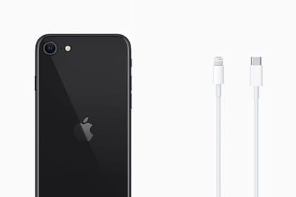 Solo con un cable: Apple vende el iPhone SE, 11 y XR sin auriculares ni  cargador - LA NACION