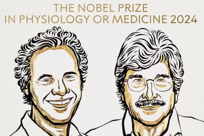 Los nuevos Premio Nobel en Medicina
