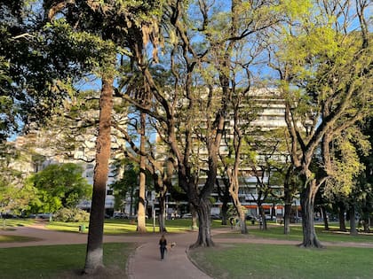 Los nuevos proyectos en la zona de Plaza Alemania son una oportunidad única porque conseguir terrenos para construir es casi una misión imposible