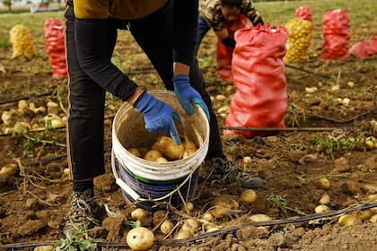 Los nuevos vecinos de estos agricultores de papas están en el centro de la carrera de inteligencia artificial de China con EE.UU.