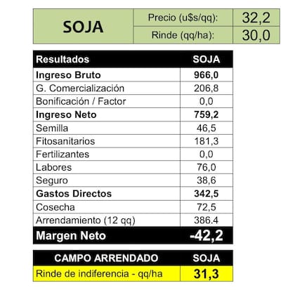 Los números de la soja, según un productor