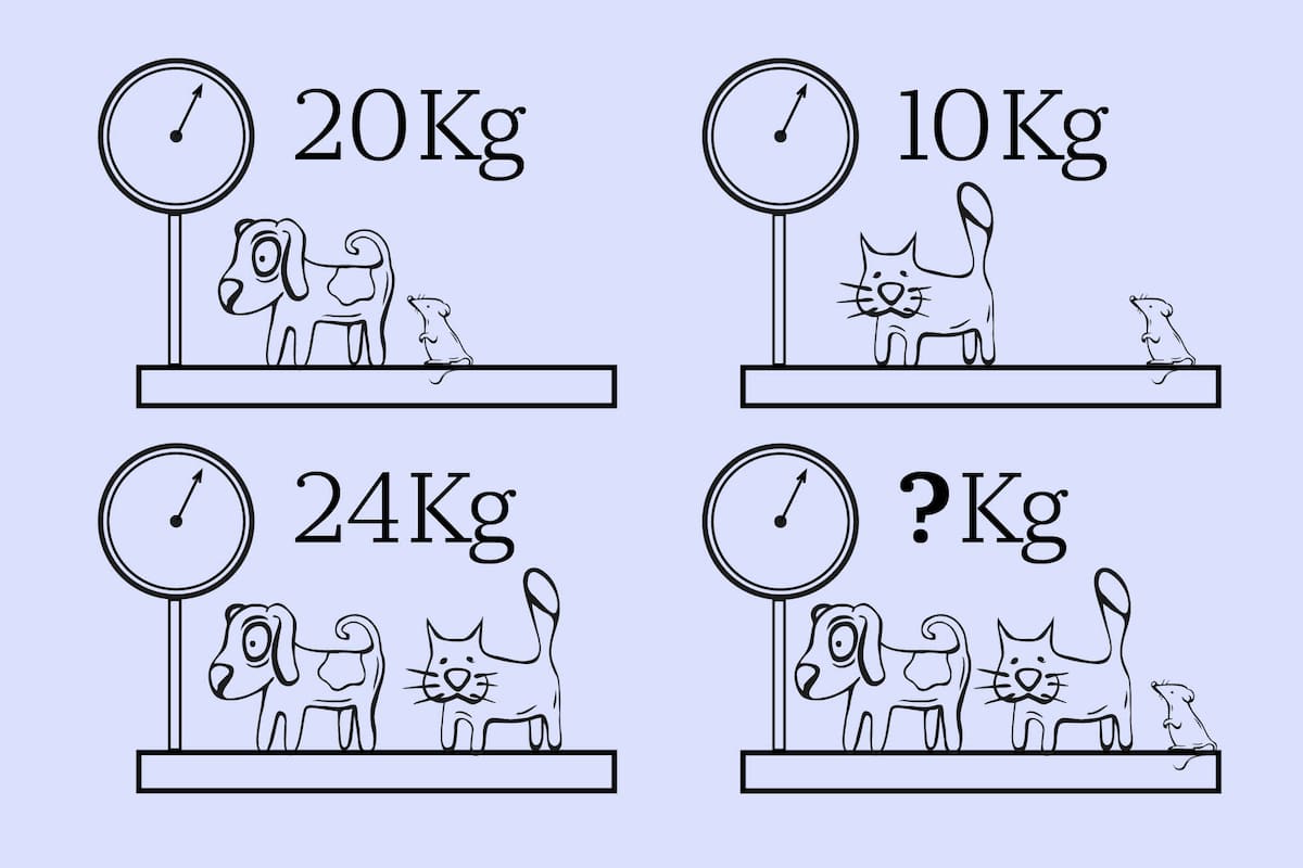 Los números del peso total de la balanza y el tamaño de los animales son la clave para resolverlo.