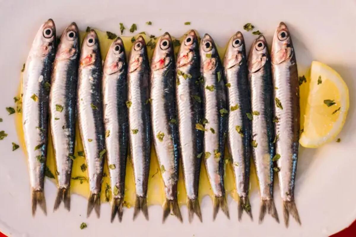Los nutricionistas consideran que las sardinas entran dentro de la categoría de "superalimento"
