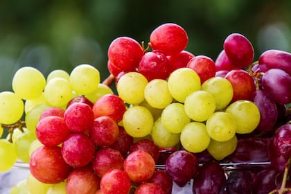 Los nutricionistas recomiendan consumir las uvas de manera regular