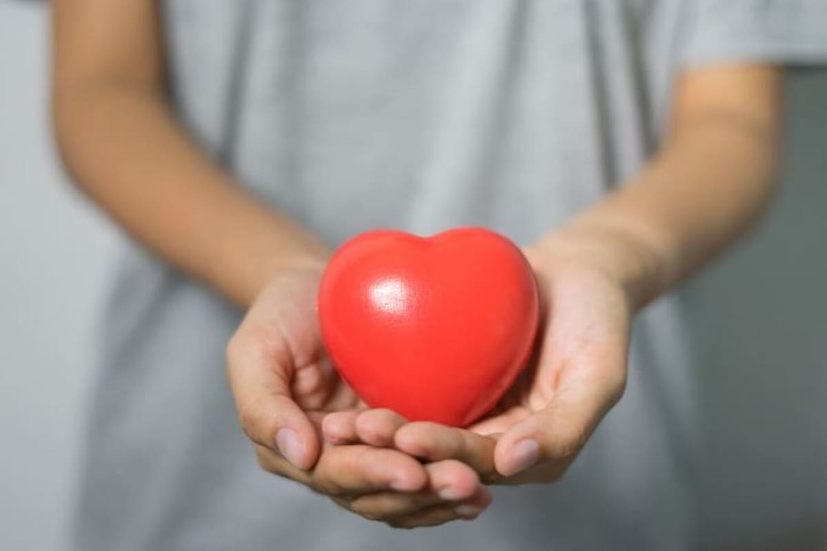 Los nutrientes que ayudan al normal funcionamiento del corazón son los que mantienen equilibrada la presión arterial.