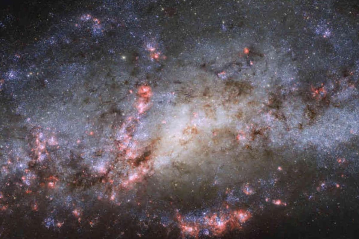 Los objetos descubiertos están considerados entre los más grandes del Universo