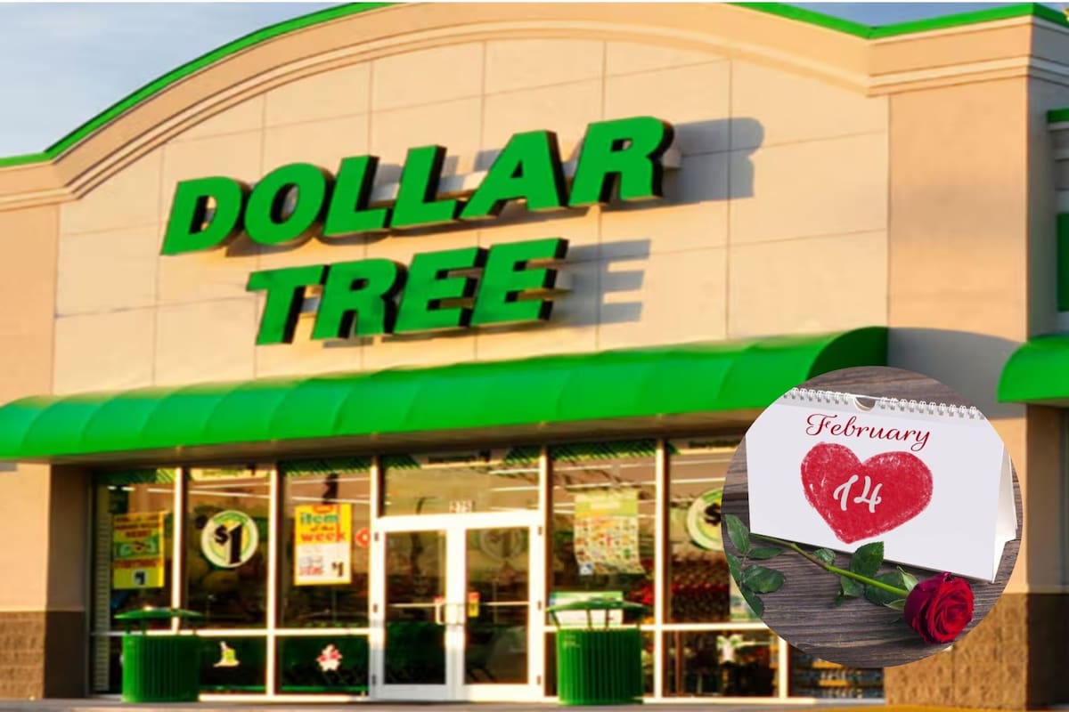 Los obsequios más comunes para San Valentín incluyen chocolates, peluches y pequeños detalles simbólicos (Archivo)