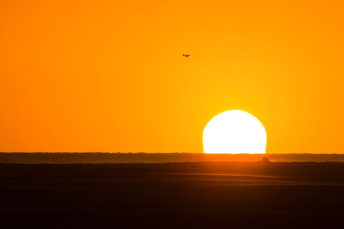 Los océanos del mundo registaron temperaturas muy elevadas para esta época del año