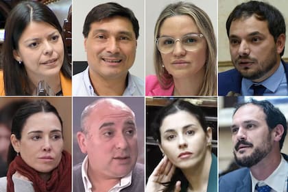 Los ocho diputados libertarios que no dieron quorum para ficha limpia: Emilia Orozco, Pablo Ansaloni, Carolina Pparo, Álvaro Martínez, Lorena Maczsyn, José Peluc, Marcela Pagano, Santioago Santurio