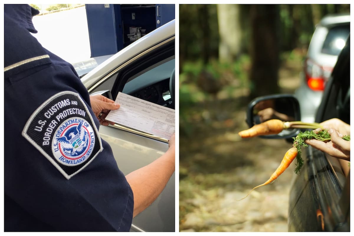 Los oficiales de la CBP interceptaron al camión de zanahoras y encontraron algo ilegal