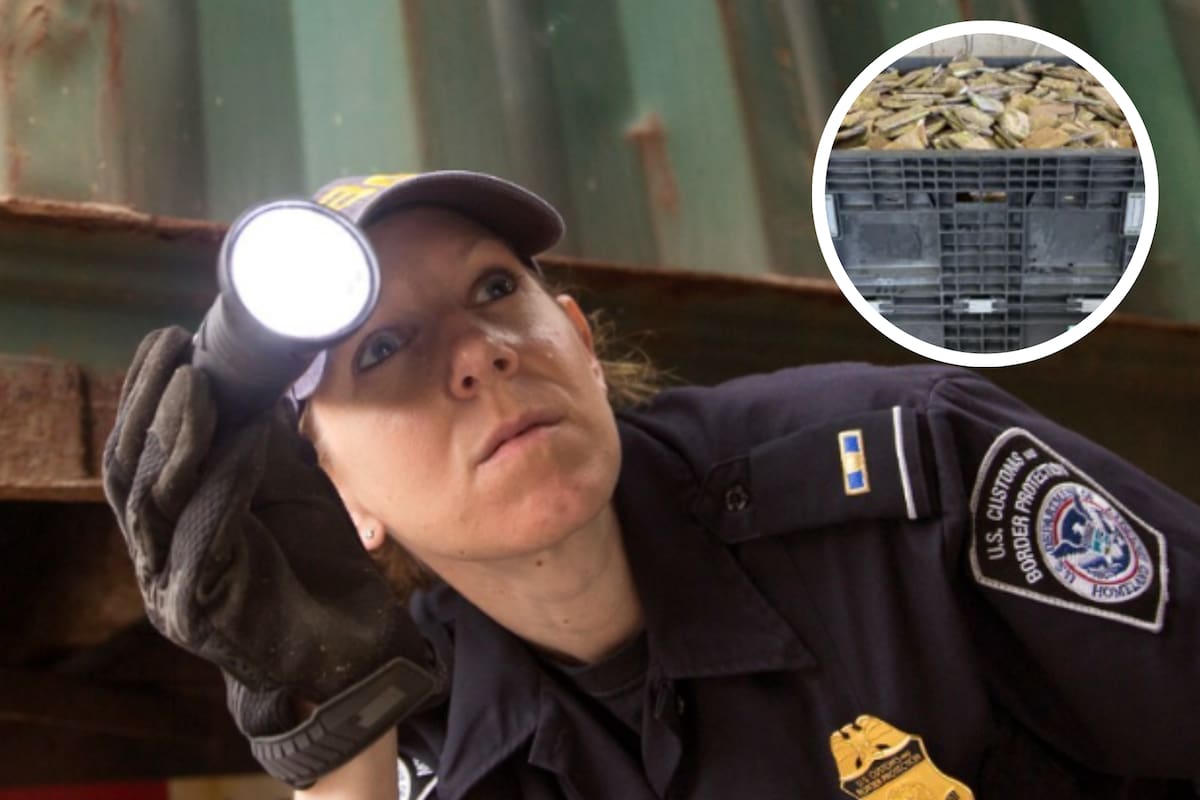 Los oficiales usaron escáneres no intrusivos para examinar el interior del camión sin abrirlo