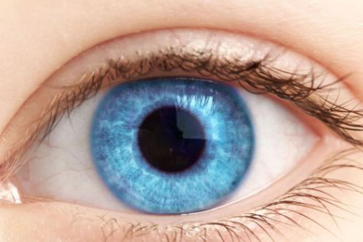 Los ojos azules, un motivo de investigaciones de científicos daneses