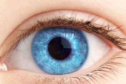 Los ojos azules, un motivo de investigaciones de científicos daneses