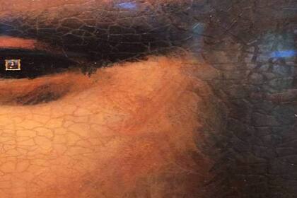 Los ojos le informan al cerebro si debe estar alerta o se puede relajar