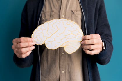 Los ojos se mueven porque el cerebro está trabajando, procesando estímulos