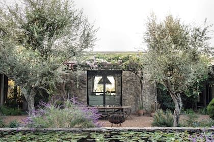Los olivos le dan un aire antiguo a este patio central. Con un enorme estanque elevado revestido en piedra, los nenúfares también son la atracción del lugar.