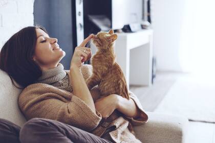 Los olores pueden ser enemigos de los gatos