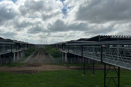 Los operadores de compra ejercieron competencia y otorgaron valores con ganancias para todas las categorías y clasificaciones expuestas