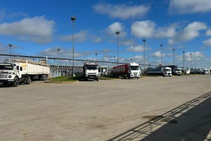 Los operadores del abasto y de la industria local trabajaron de forma selectiva y de acuerdo a sus necesidades inmediatas; se ejerció mayor competencia sobre los lotes de calidad