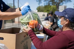 Comida gratis desde el 6 de julio: calendario y dónde entregan bolsas de alimentos frescos