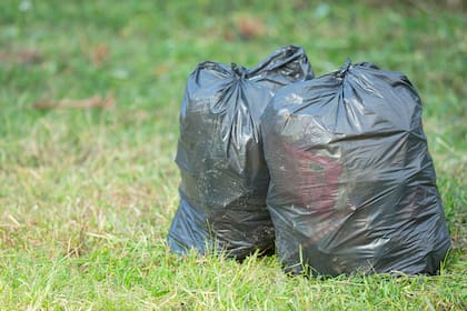 Los operativos incluyen el retiro de asentamientos, la recolección de basura y escombros, el control de la vegetación y la eliminación de grafitis