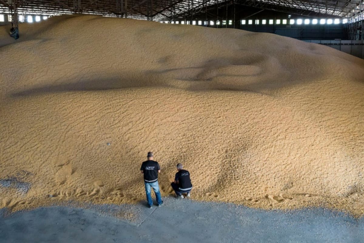 Los organismos oficiales pusieron el foco en la capacidad económica de las firmas que hacían las operaciones