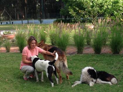 Los otros perros recibieron al nuevo con mucho amor y compasión.