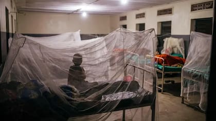 Los pacientes a menudo se someten a prácticas curativas tradicionales antes de llegar al hospital, según los médicos