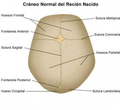 Los padres de la mujer habrían clavado la aguja por la fontanela con la intención de matarla