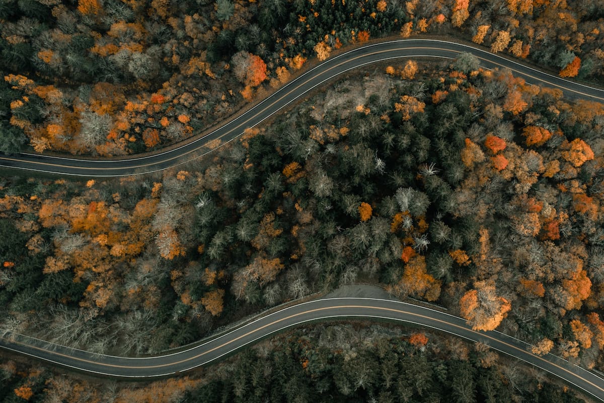 Los paisajes boscosos durante el otoño en EE.UU. cambian a tonos cálidos por la menor duración de luz solar y bajas temperaturas