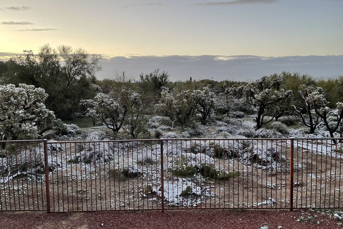 Los paisajes desérticos de Arizona amanecieron con capas de nieve este miércoles