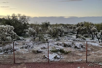 Los paisajes desérticos de Arizona amanecieron con capas de nieve este miércoles