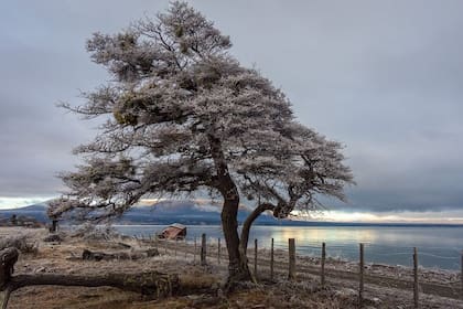 Los paisajes invernales son una de las características de Tolhuin