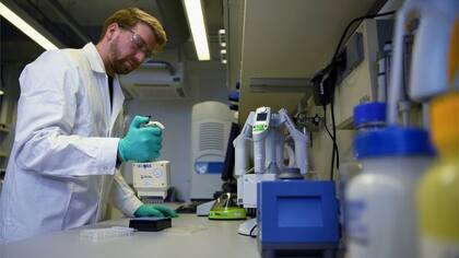 Las investigaciones sobre inmunidad son clave a la hora de desarrollar una o más vacunas exitosas y tomar otras decisiones sanitarias.