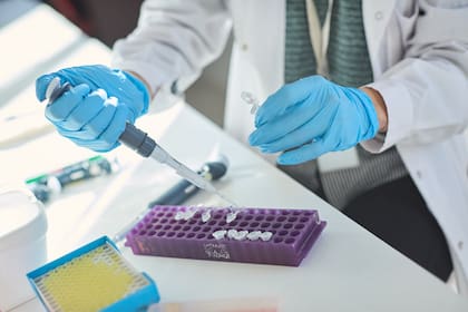 Los países tienen política de exportaciones y de ciencia, tecnología e innovación