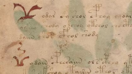 Los pájaros que inspiraron e símbolo de Primo de Belfegor en el Manuscrito Voynich