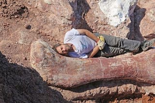 Cómo se descubrió y se reproduce el dinosaurio más grande del mundo
