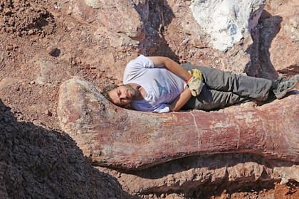 Cómo se descubrió y se reproduce el dinosaurio más grande del mundo