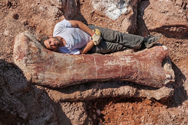 Los paleontólogos han encontrado muchos fósiles del patagotitán