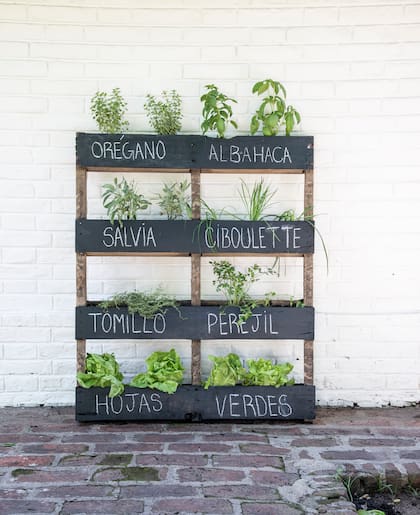 Los pallets se volvieron materia prima para muchos proyectos de paisajismo y decoración.En este caso, se transformaron en una huerta vertical de aromáticas y hojas verdes que entra perfecto en cualquier balcón.