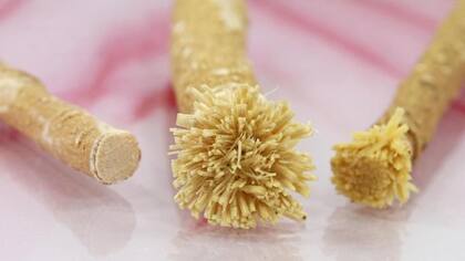 Los palos de mascar miswak se usan tradicionalmente en África, Medio Oriente y el Sur Asiático