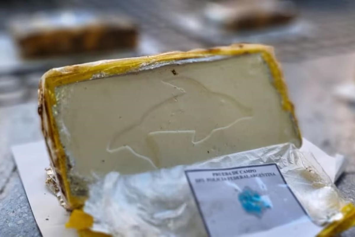 Los panes de cocaína secuestrados en Córdoba