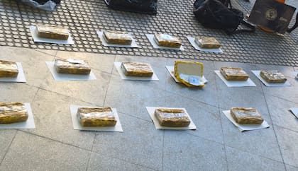 Los panes de cocaína secuestrados en Córdoba