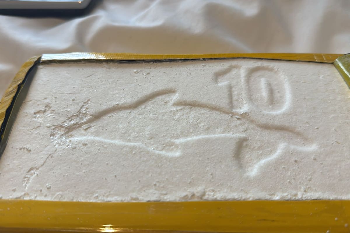 Los panes de cocaína tenía el logo de un delfín